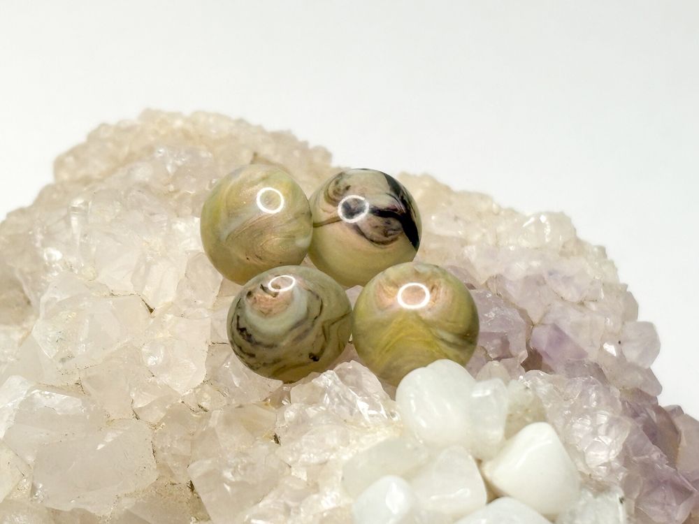 Abalone Earring Studs